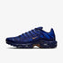 Nike Air Max Plus - French Football Federation