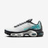 Nike Air Max Plus - Mercurial Vapor