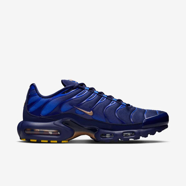 Nike Air Max Plus - French Football Federation